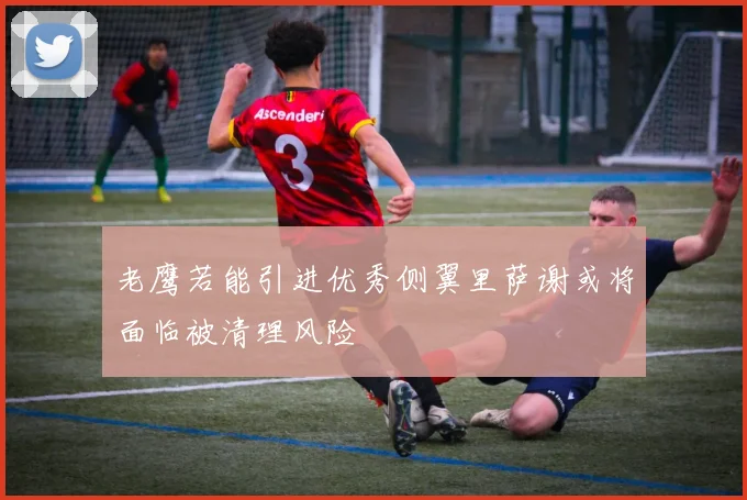 老鹰若能引进优秀侧翼里萨谢或将面临被清理风险